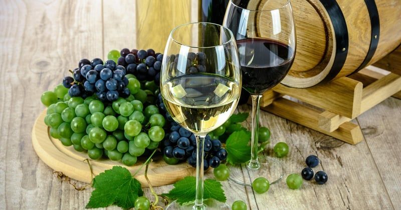Route des vins en France : un voyage sensoriel à travers les vignobles