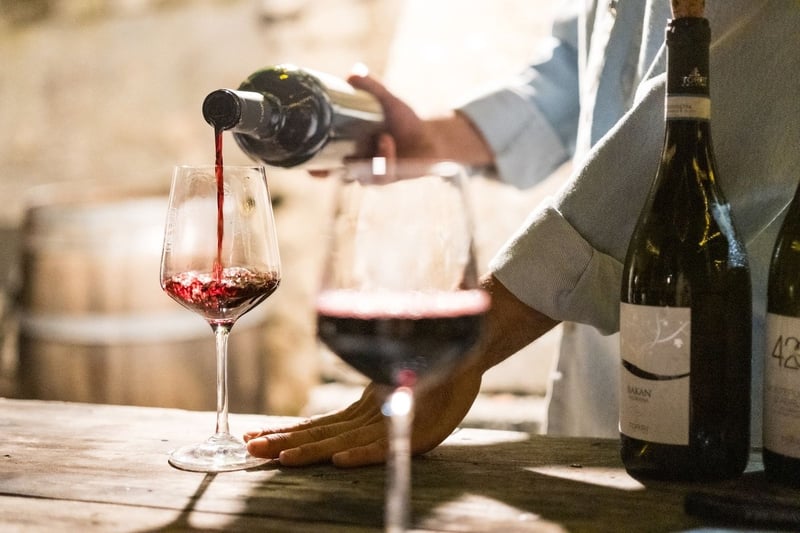 Meilleurs vignobles à visiter en Argentine : l'itinéraire rêvé