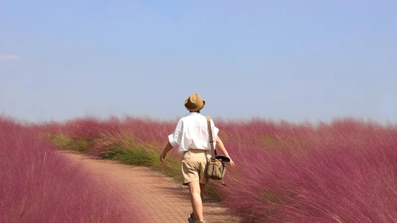 Aventures en Plein Air